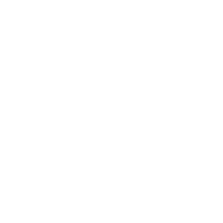 Ashley & Lewis