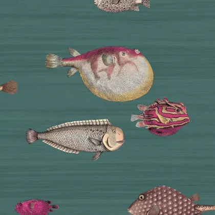 Acquario wallpaper by Cole & Son