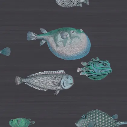 Acquario wallpaper by Cole & Son