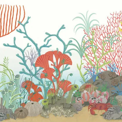 Archipelago Border wallpaper by Cole & Son