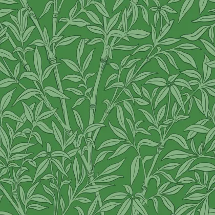 Bamboo Forest wallpaper by Cole & Son
