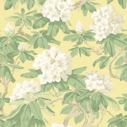 Bourlie wallpaper in White, Leaf Green on Lemon
