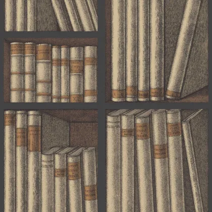 Ex Libris wallpaper by Cole & Son