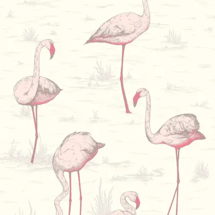 Flamingos wallpaper by Cole & Son