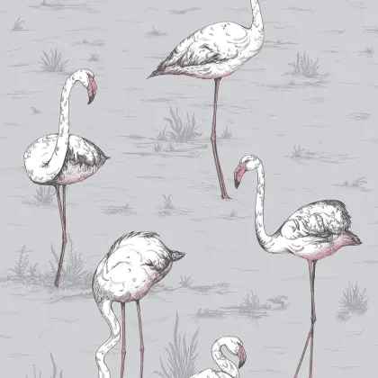 Flamingos wallpaper by Cole & Son