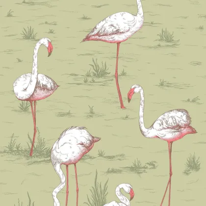 Flamingos wallpaper in Olive