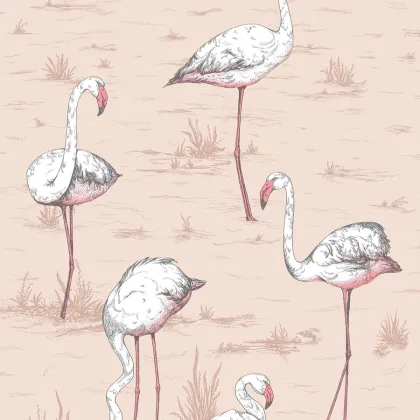 Flamingos wallpaper by Cole & Son