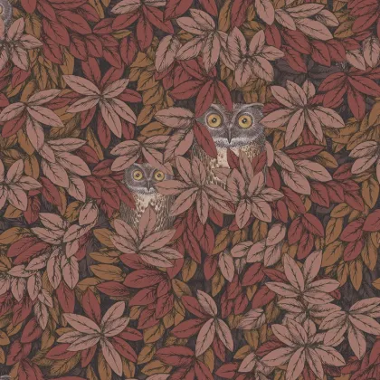 Foglie e Civette wallpaper in Autumnal Leaves