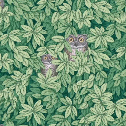 Foglie e Civette wallpaper in Forest Green