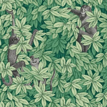 Foglie e Scimmie wallpaper in Forest Green
