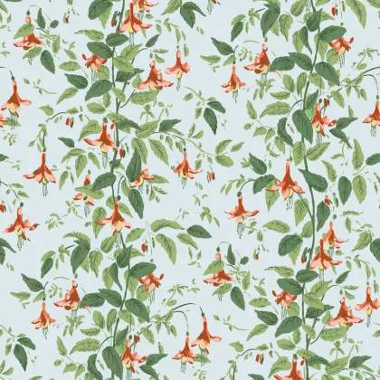 Fuchsia wallpaper by Cole & Son