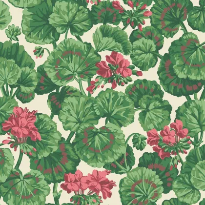 Geranium wallpaper in Rose & Forest Greens on Parchment