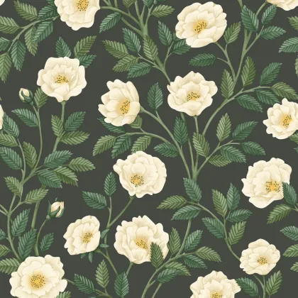 Hampton Roses wallpaper by Cole & Son