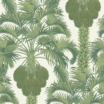 Hollywood Palm wallpaper by Cole & Son