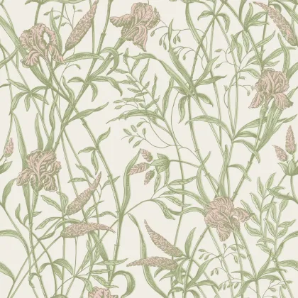 Iris wallpaper in Soft Coral on Chalk
