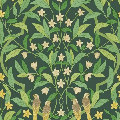 Jasmine & Serin Symphony wallpaper in Yellow & Leaf Green on Dark Forest Green