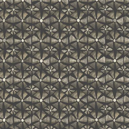 Kalahari wallpaper in Stone & Charcoal