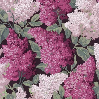 Lilac Grandiflora wallpaper in Magenta & Blush on Charcoal