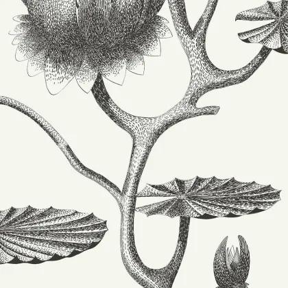 Lily wallpaper in Black on White