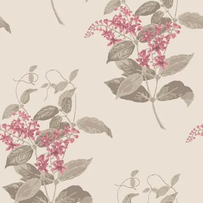 Madras Violet wallpaper by Cole & Son