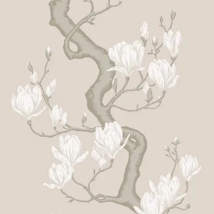 Magnolia Tree wallpaper in Soft Cream and Powder