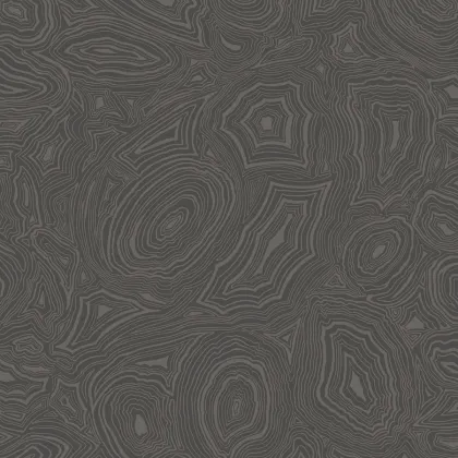 Malachite wallpaper in Charcoal & Silver