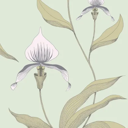 Orchid wallpaper in Chalk & Sand on Duck Egg