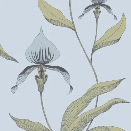 Orchid wallpaper in Ice Blue & Old Olive on Powder Blue