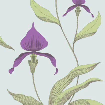 Orchid wallpaper in Purple & Leaf Green on Seafoam