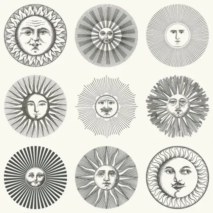 Soli wallpaper by Cole & Son