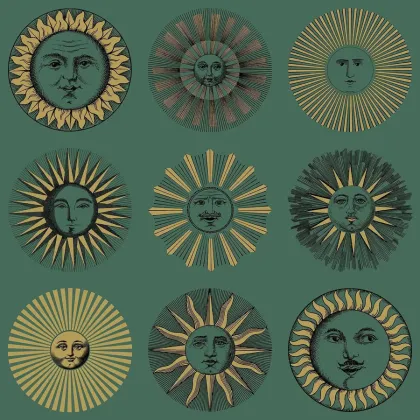Soli wallpaper by Cole & Son