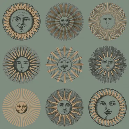 Soli wallpaper by Cole & Son