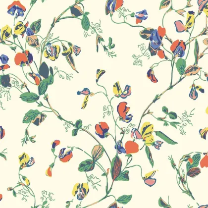 Sweet Pea wallpaper by Cole & Son