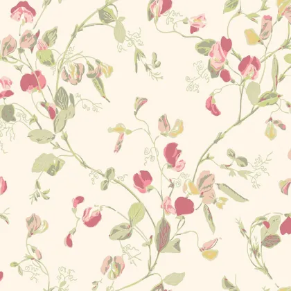 Sweet Pea wallpaper by Cole & Son