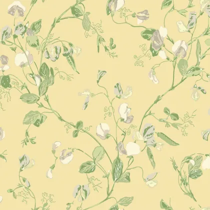 Sweet Pea wallpaper by Cole & Son