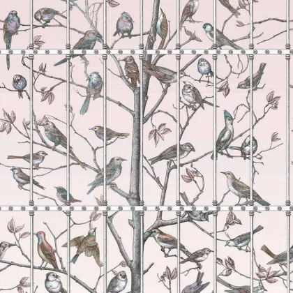 Uccelli wallpaper in Ballet Slipper