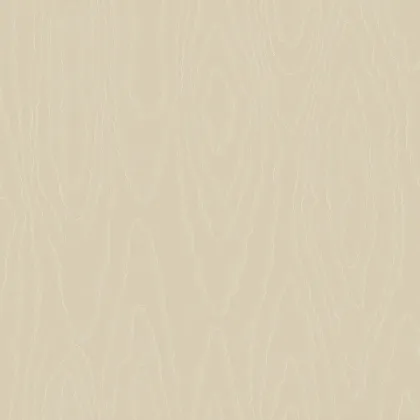 Watered Silk wallpaper in Mica Oat