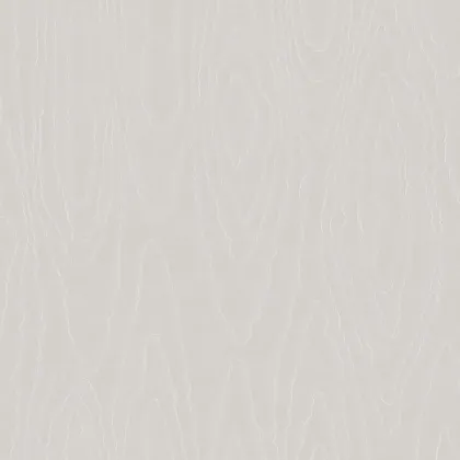 Watered Silk wallpaper in Mica Shell