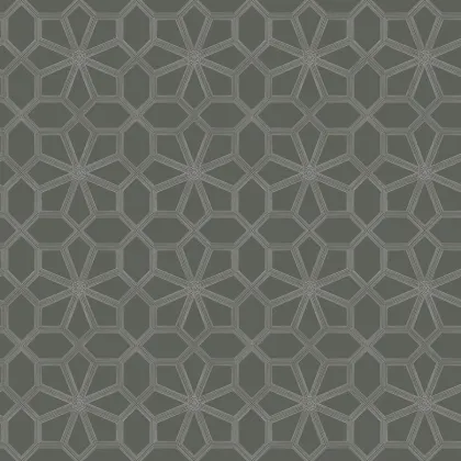 Wolsey Stars wallpaper in Chalk on Charcoal