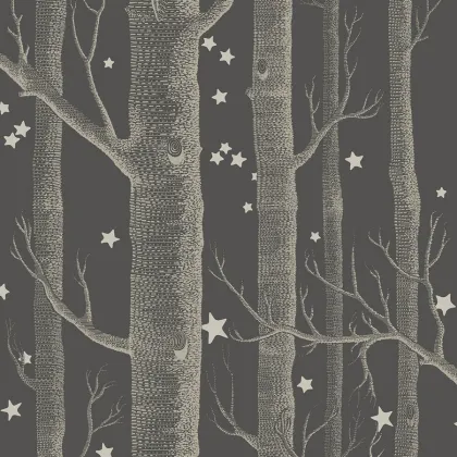 Woods & Stars wallpaper in Charcoal