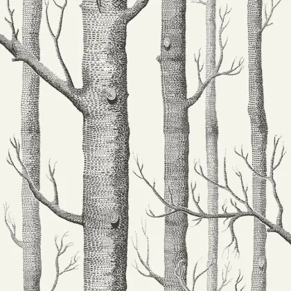 Woods wallpaper by Cole & Son