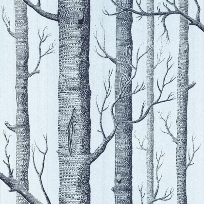 Woods wallpaper in Soot on Foil