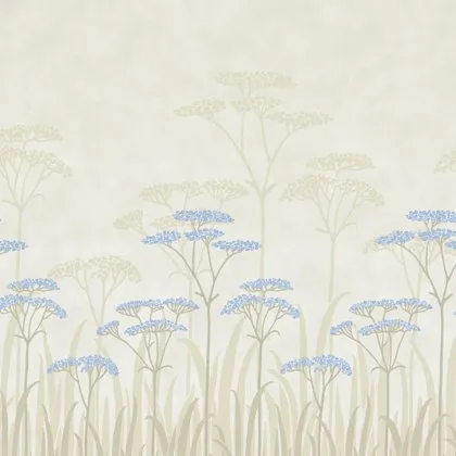 Achillea wallpaper in Dew