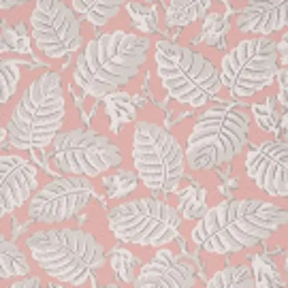 Beech Nut wallpaper in Delicate