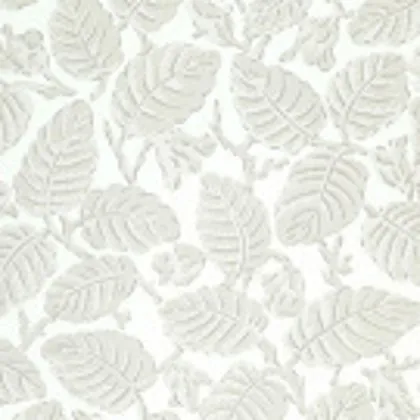 Beech Nut wallpaper in Warm Grey