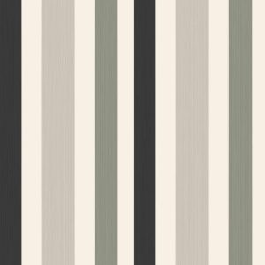Chromatic Stripe