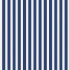 closet-stripe-364-wallpaper-swatch.jpg