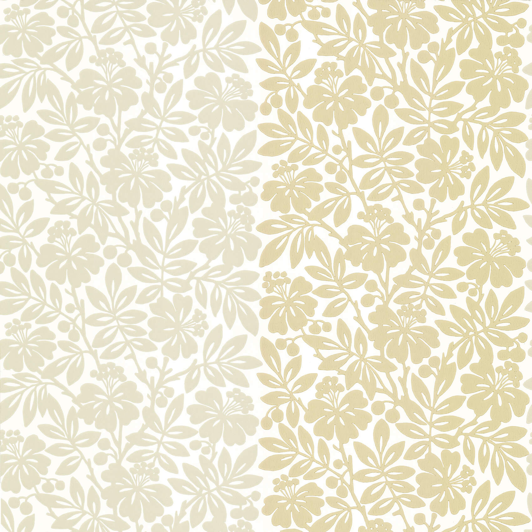 Carlisle Street - Oak Apple