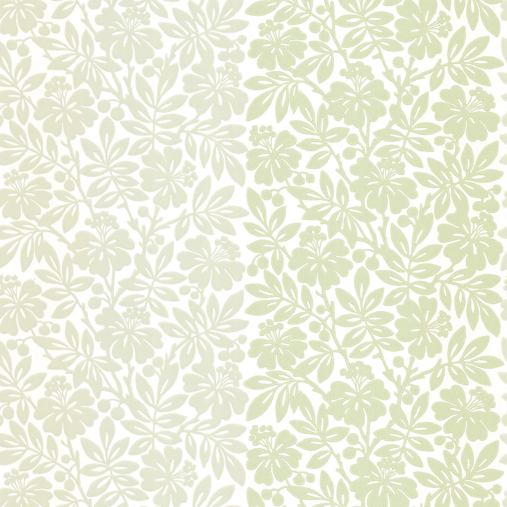 Carlisle Street - Orchard