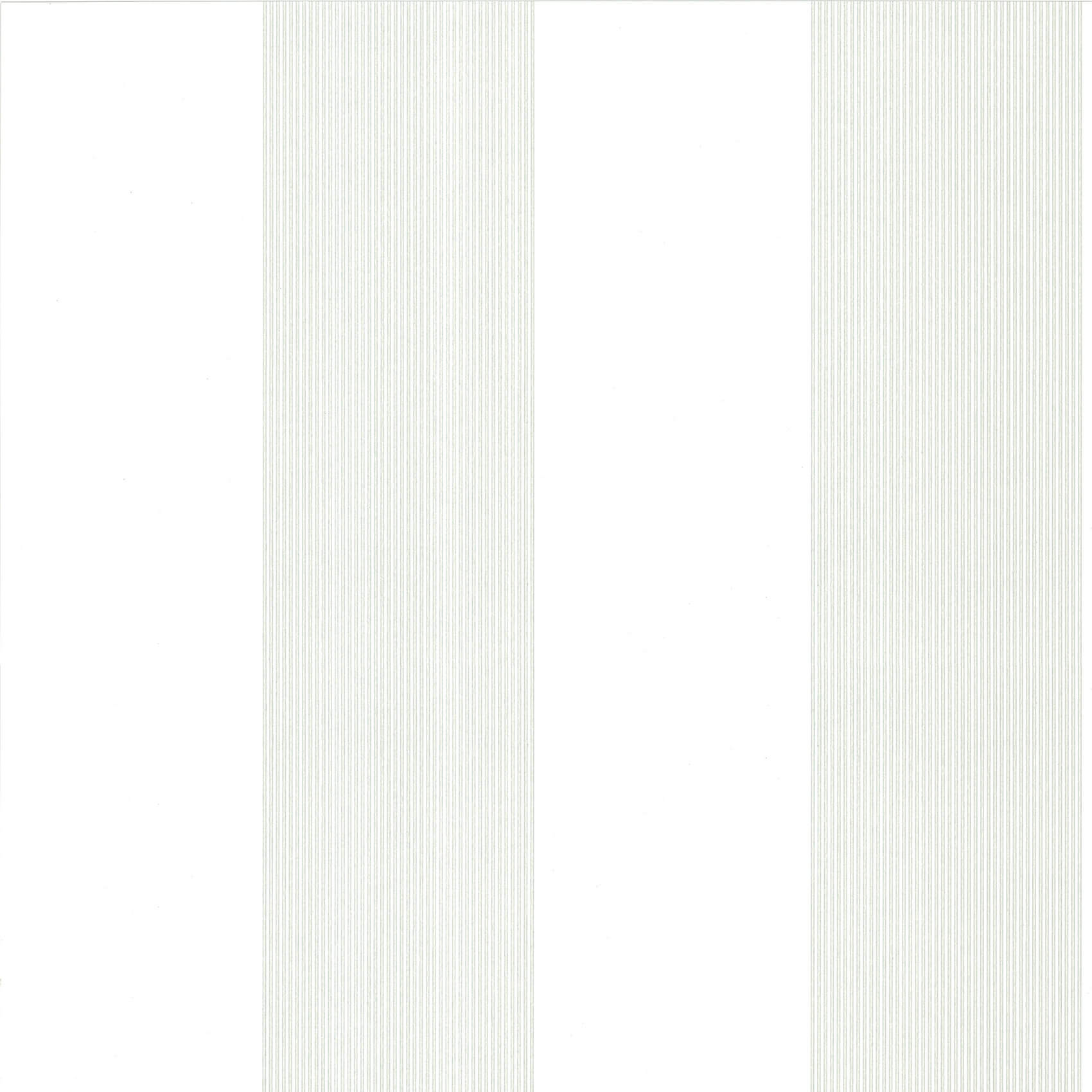 Elephant Stripe - Slip